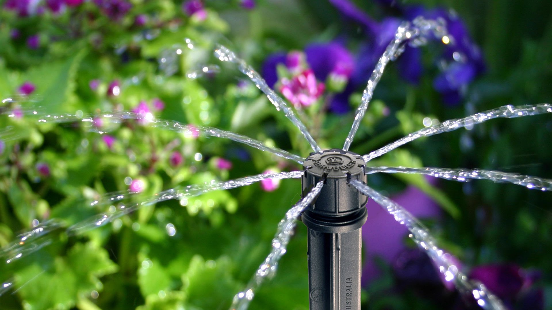 Sprinkler irrigation field