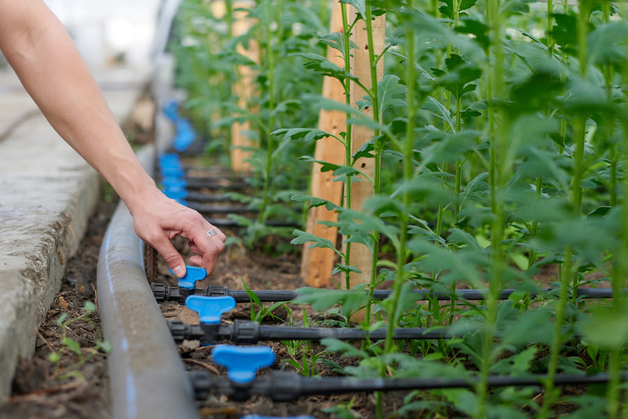 Irrigation infrastructure