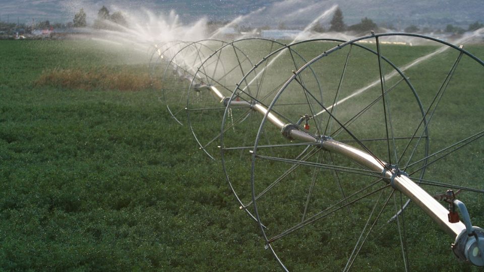 Agricultural irrigation